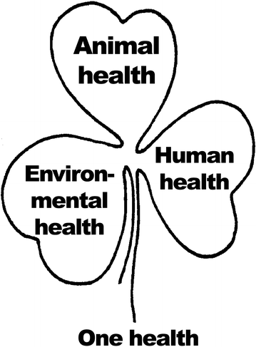 Fig. 1