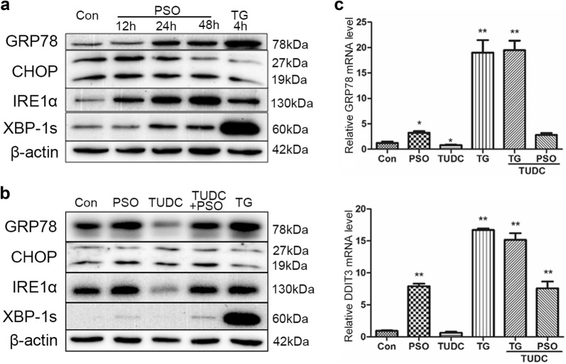 Fig. 7