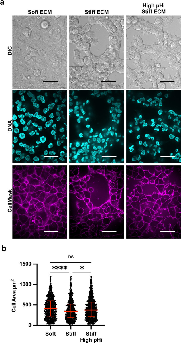 Figure 3: