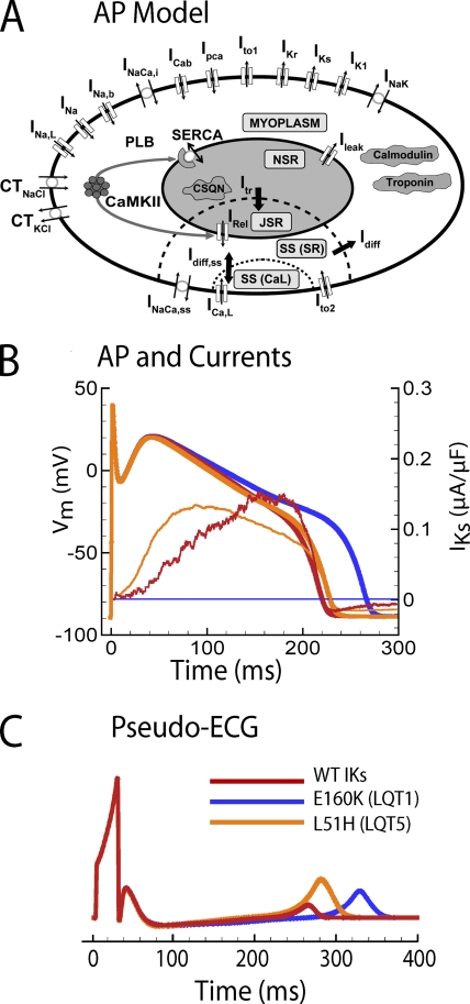 Figure 4.