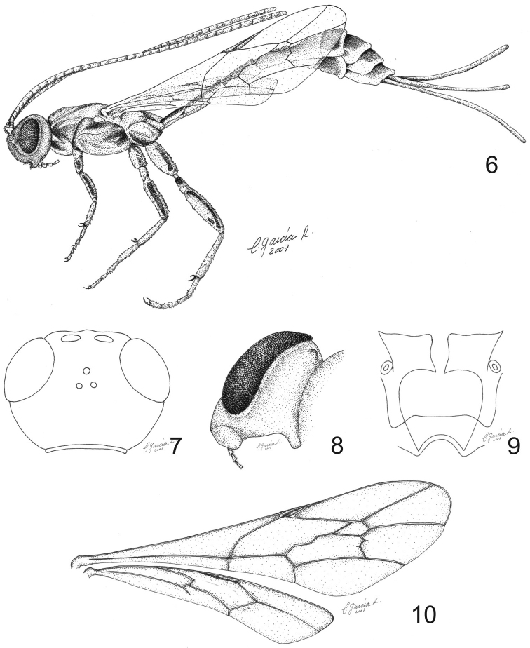 Figures 6–10.