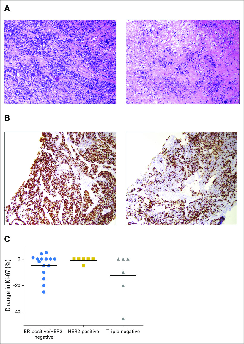 Fig 3.