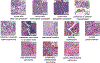 Extended Data Fig. 8 |