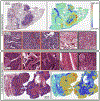 Extended Data Fig. 4 |