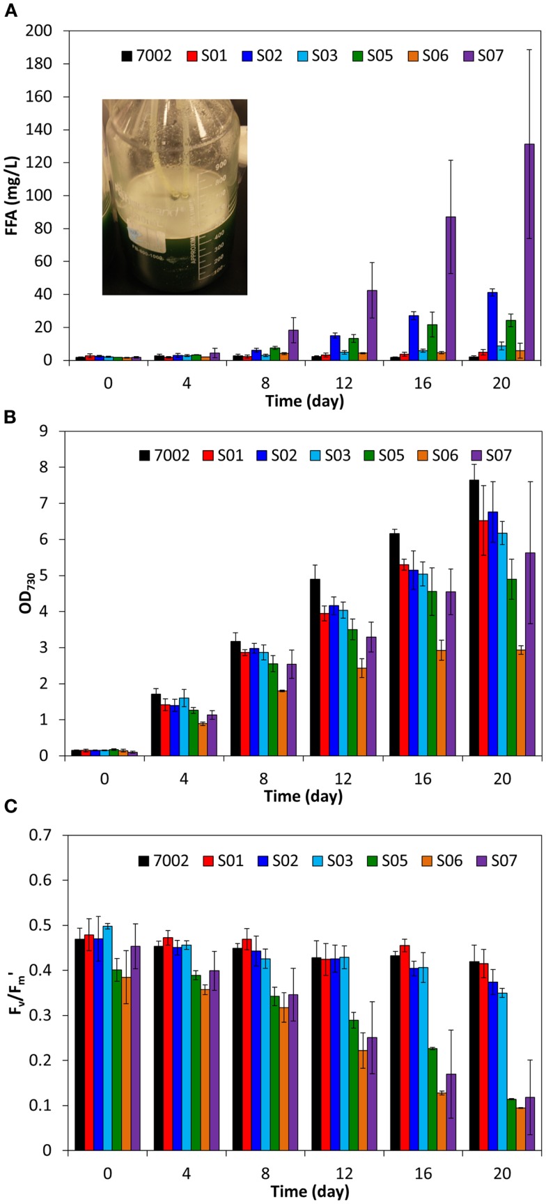 Figure 4