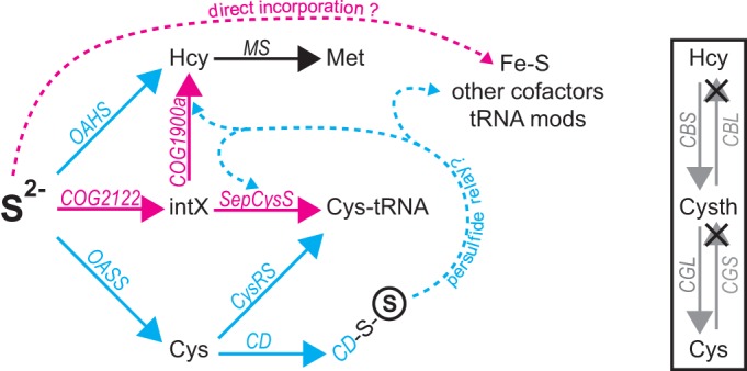 FIG 1