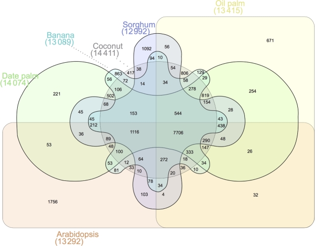 Figure 4: