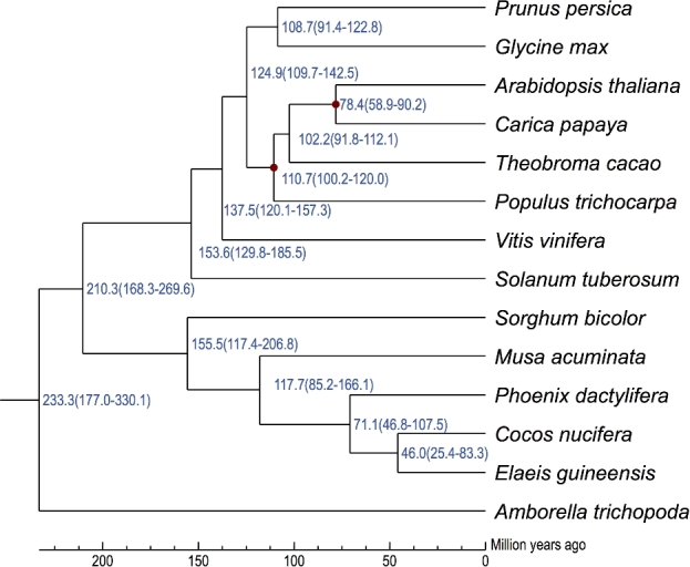 Figure 5: