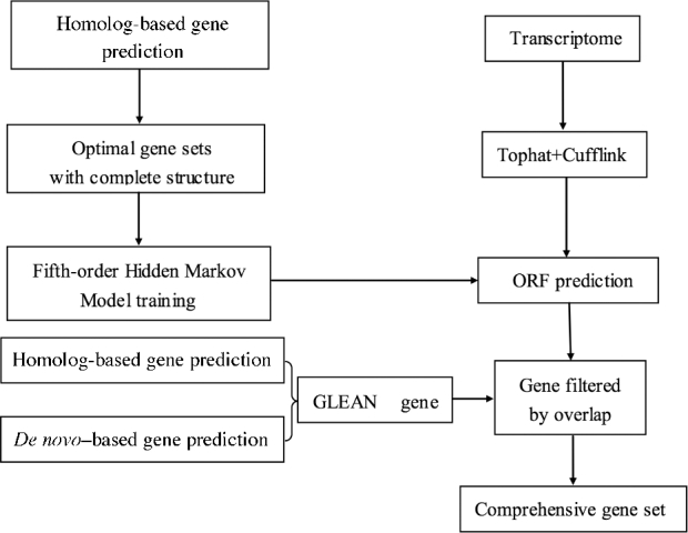 Figure 3: