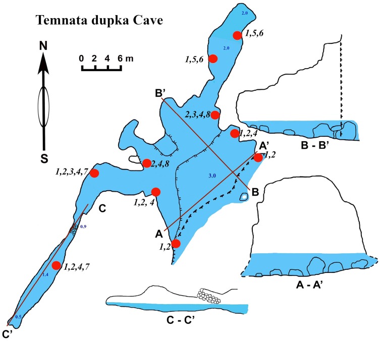 Figure 7