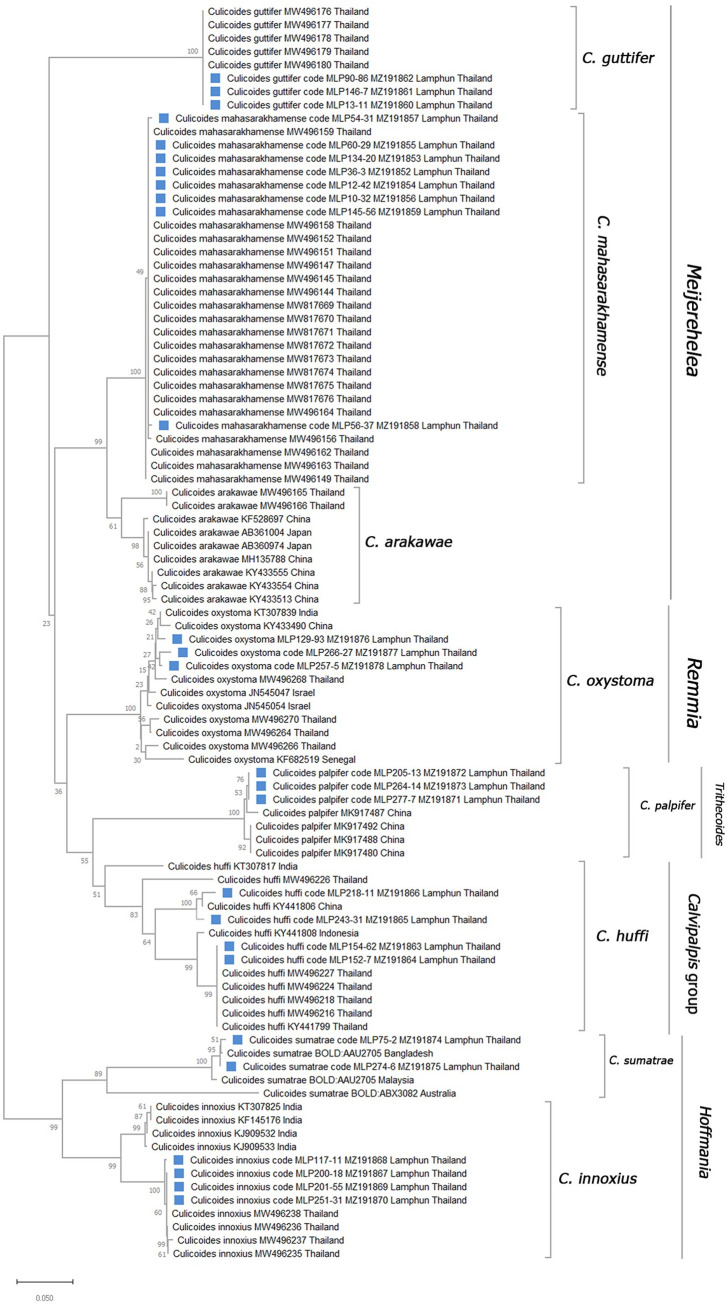 Fig 3