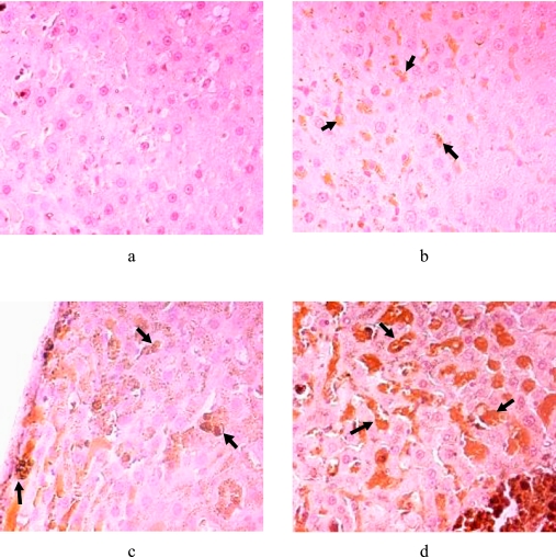 Fig. 7