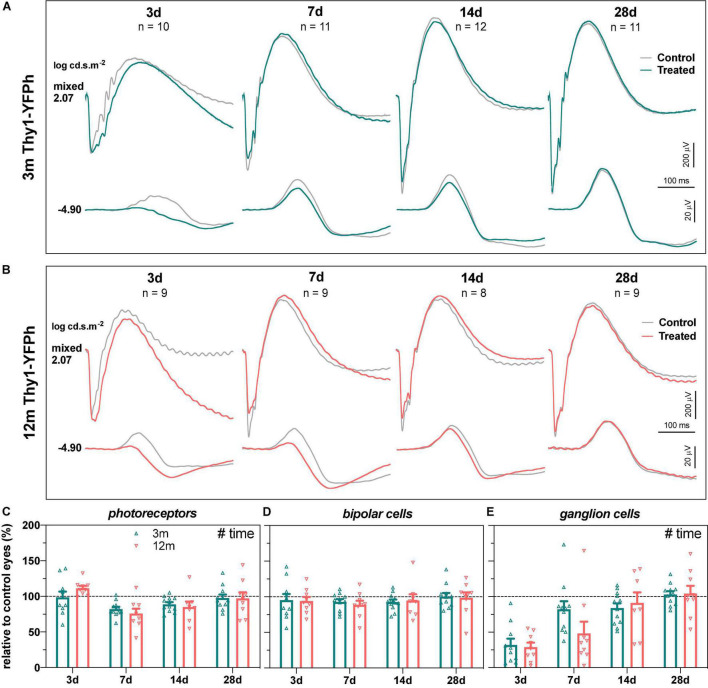 FIGURE 3