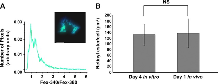 Fig. 6.