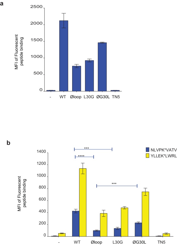 Figure 6—figure supplement 1.