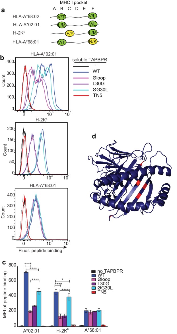 Figure 6.