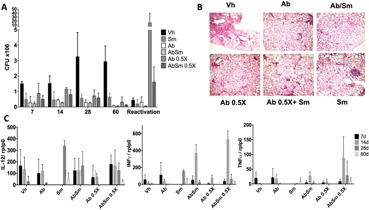 Fig 6