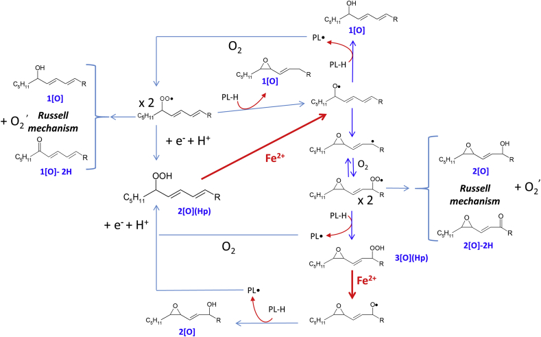 Fig. 4