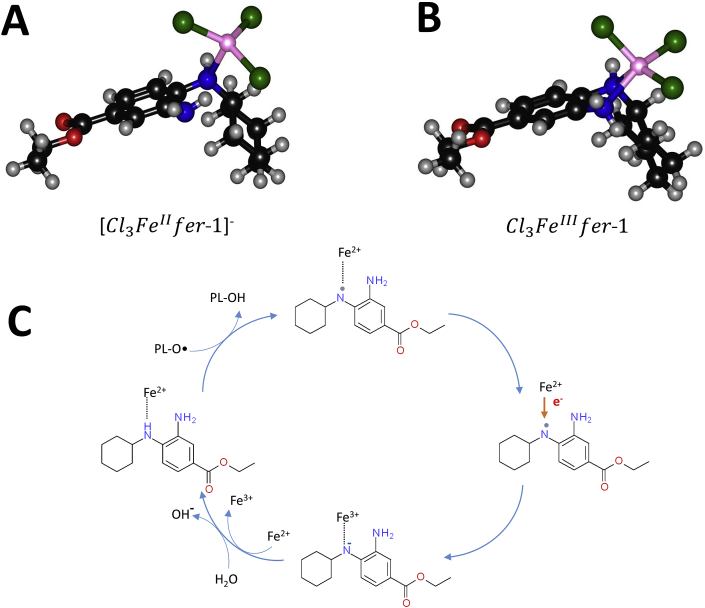 Fig. 7