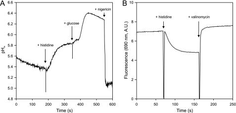 FIGURE 2.