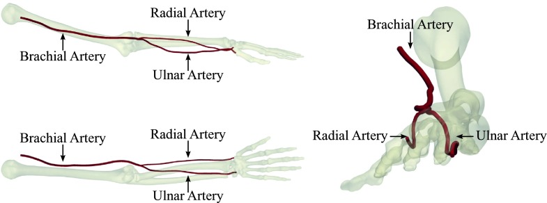 FIG. 1.