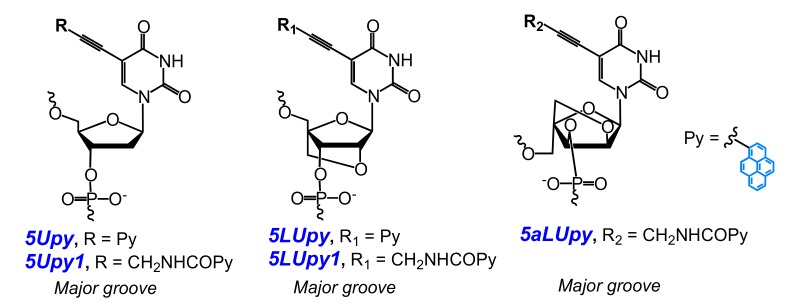 Figure 12