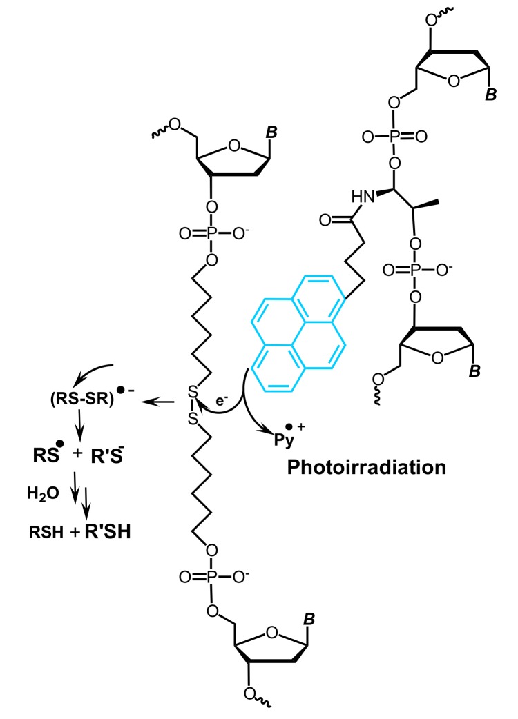 Figure 41