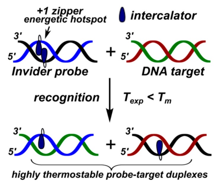 Figure 36