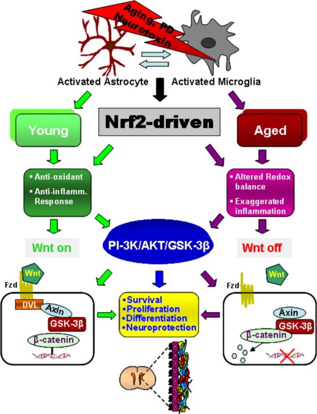 Figure 12.