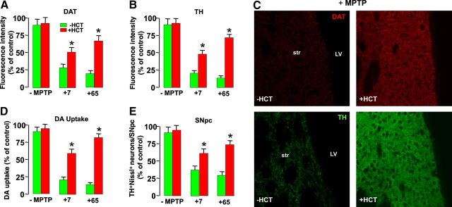 Figure 11.