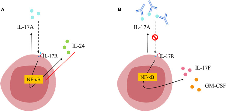 Figure 2