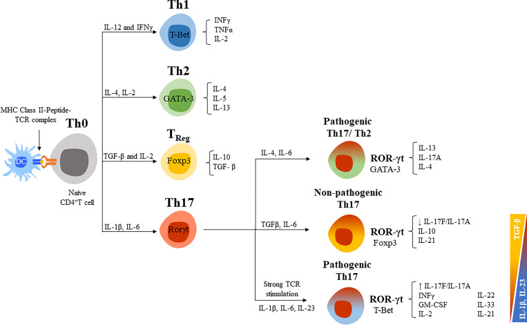 Figure 4