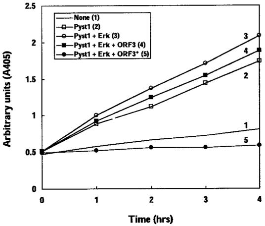 Fig. 11