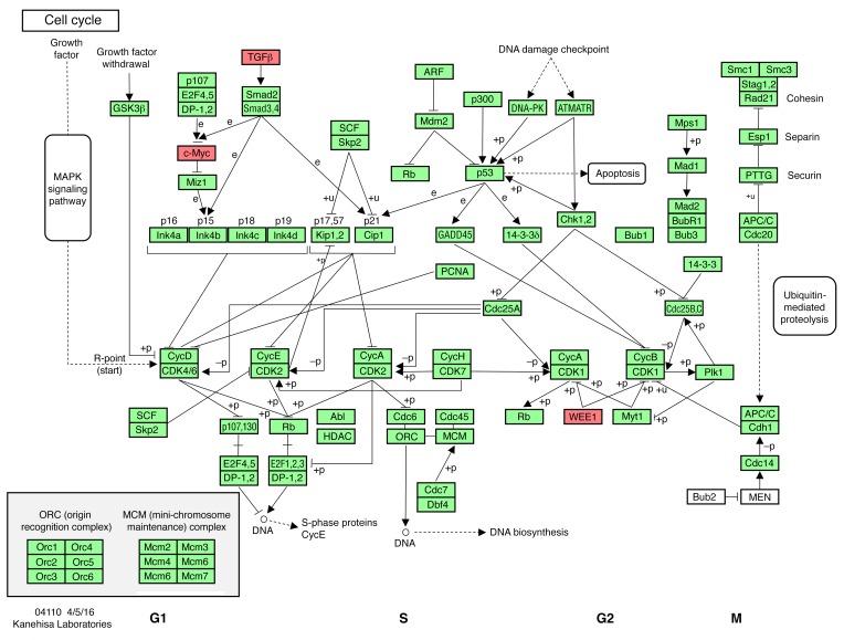 Figure 10