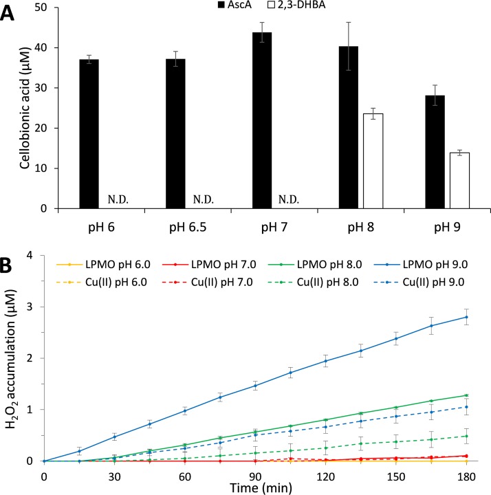 FIG 6