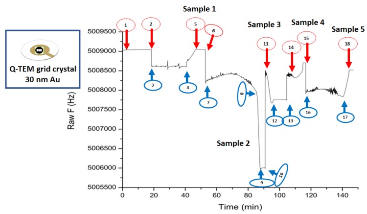 Figure 11