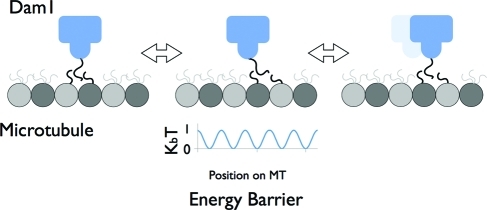 FIGURE 6: