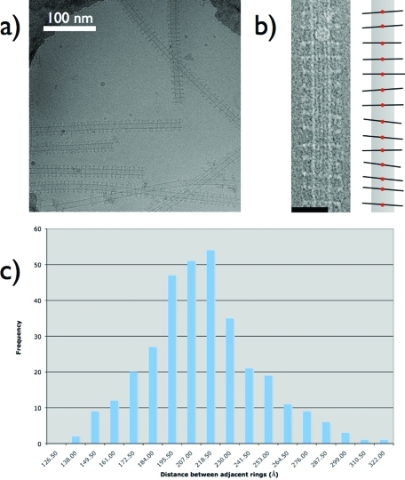 FIGURE 5: