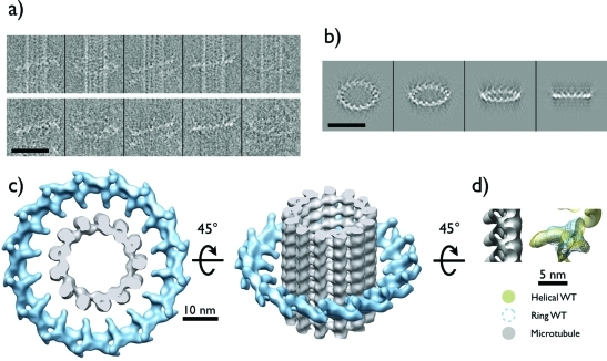 FIGURE 3: