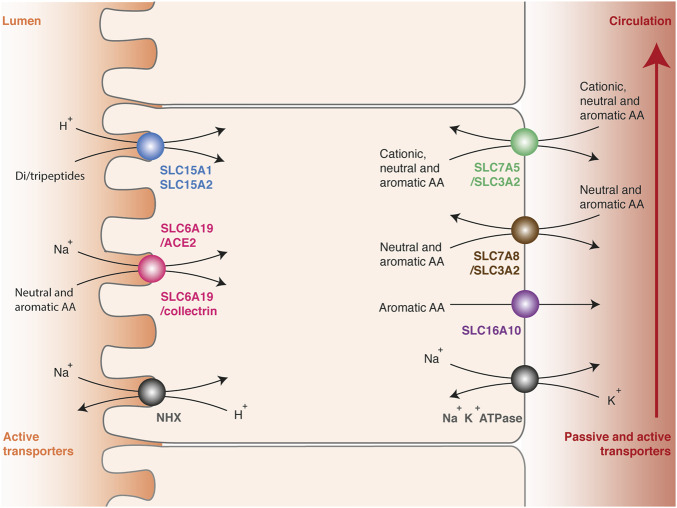 FIGURE 2