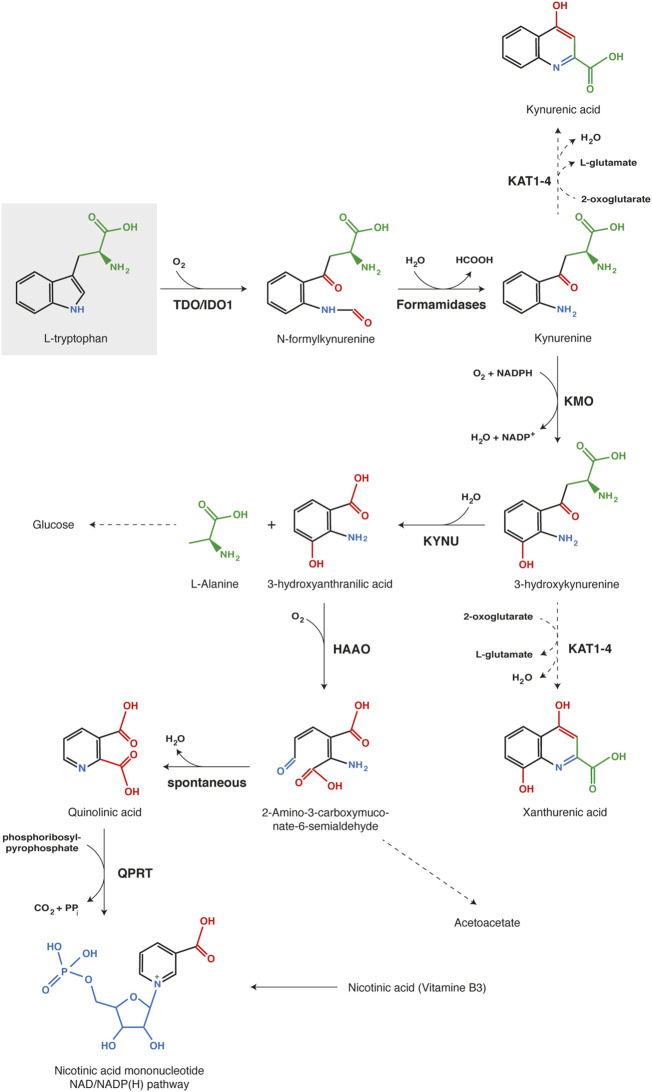 FIGURE 4