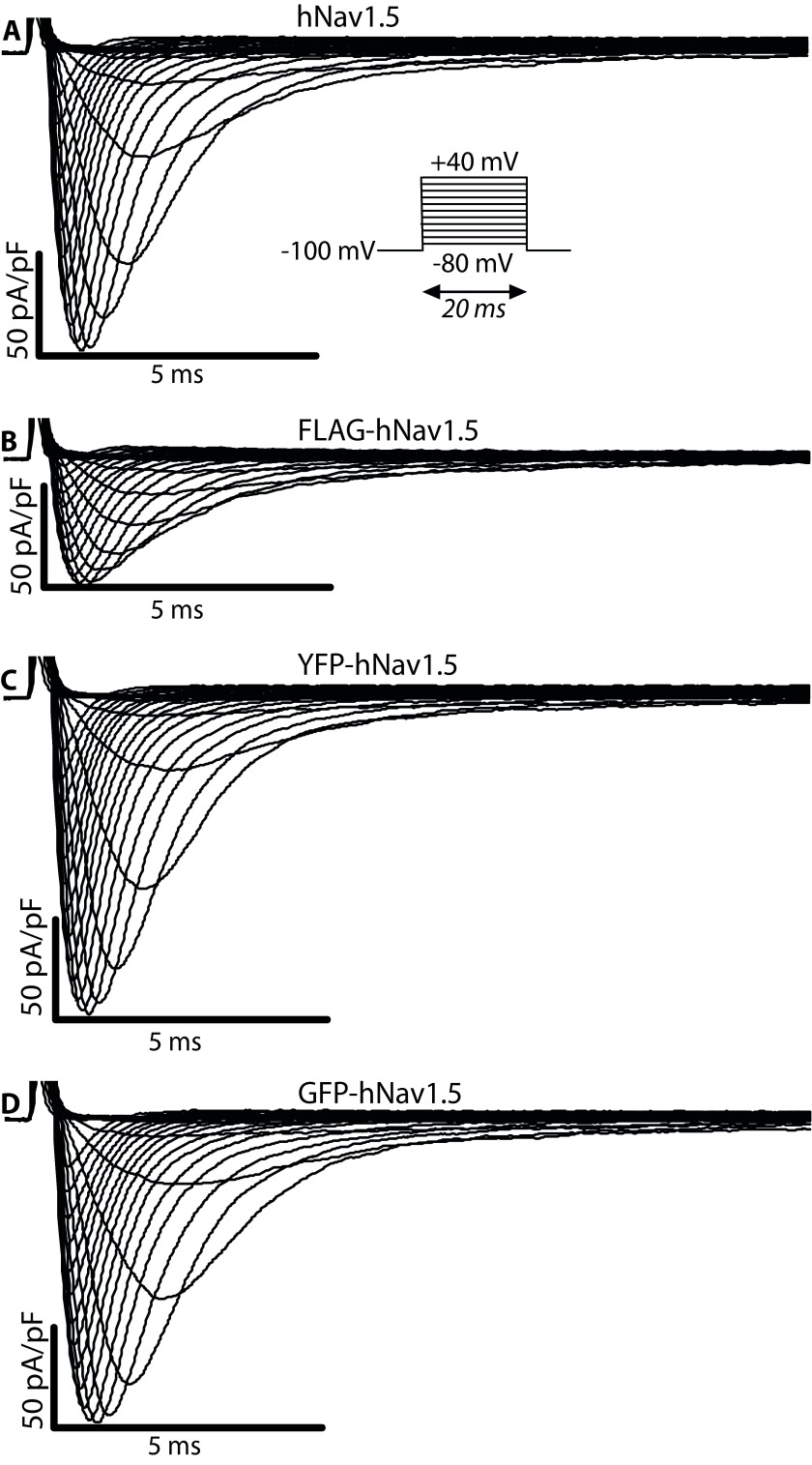 Figure 3. 