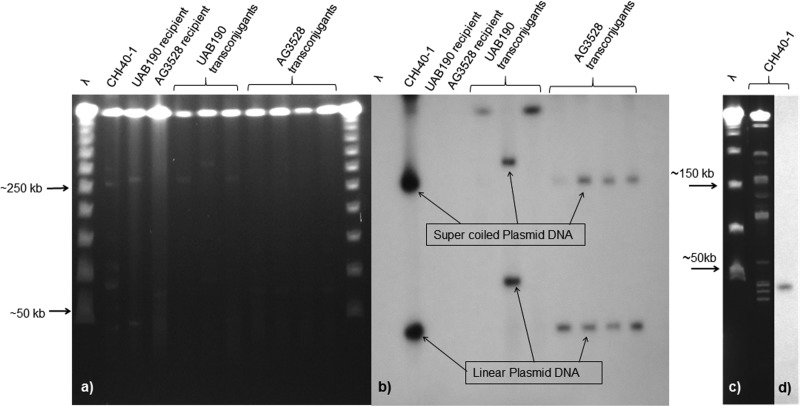 FIG 1