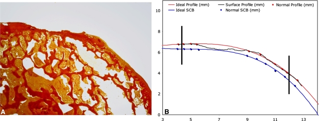 Fig. 1A–B