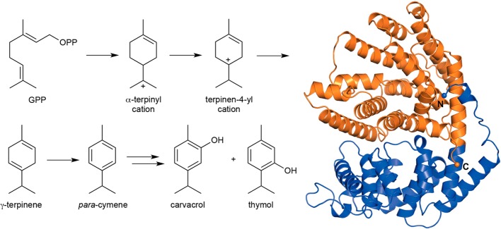 Figure 40