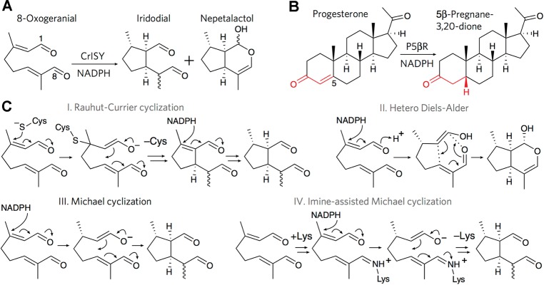 Figure 102