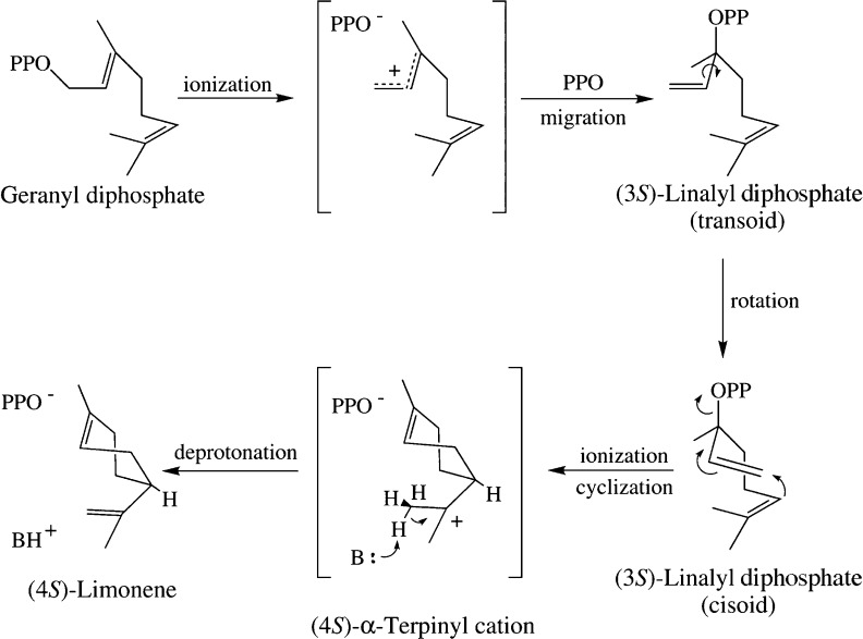 Figure 37