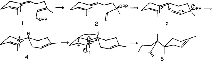 Figure 55