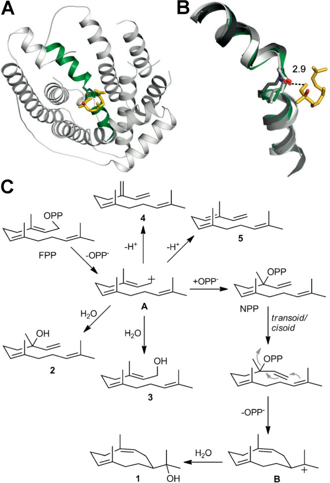 Figure 66