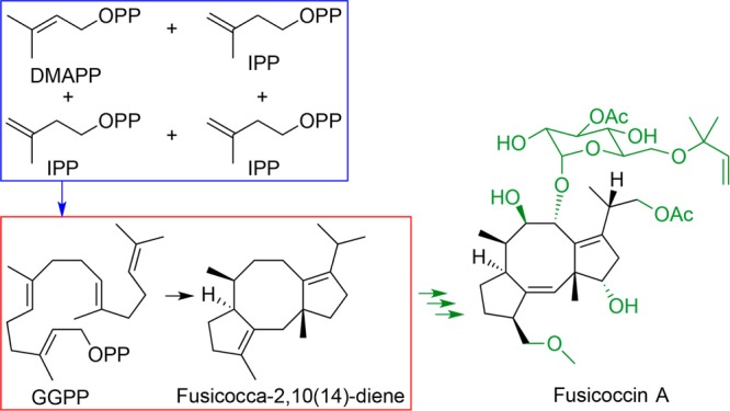 Figure 95